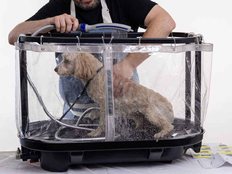 Top 10 Reasons Dog Parents Who Love Their Dogs Should Bathe Them at Home with ZipSpa®