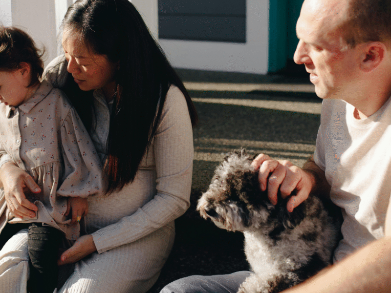 Why ZipSpa® is PERFECT for AirBNBs: A Must-Have for Pet-Friendly Stays