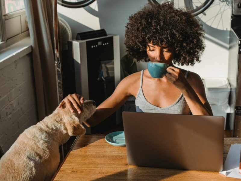 Top Gifts for Pet Parents They’ll Love – ZipSpa® Makes the List!